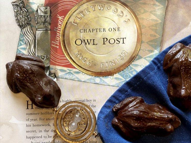 Harry Potter Style Chocolate Frogs